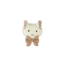 Pua Clip | Kitten